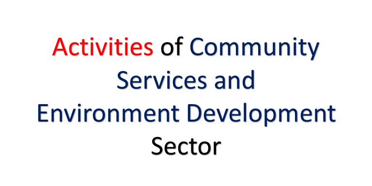 Community Services and Environment Development Sector Activities