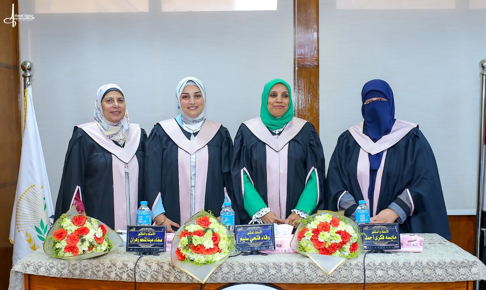 Discussion of Master thesis / Mai Mohamed Elbaz 