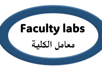 Faculty Labs